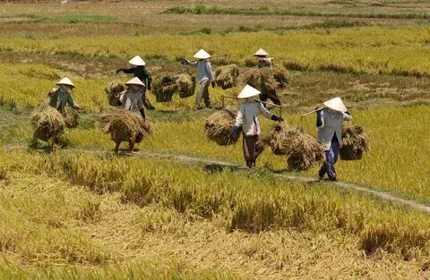 Quần dáng cong đang gây sốt với thiết kế độc đáo và tính ứng dụng cao, giúp tạo hiệu_video giới thiệu doanh nghiệp