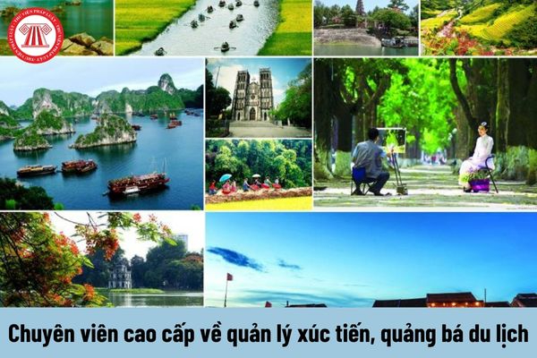 Hotspot Matrix và Chương trình “Trăng đêm thứ 7” và mục tiêu không để bất kỳ ai phải ngủ_video gia công