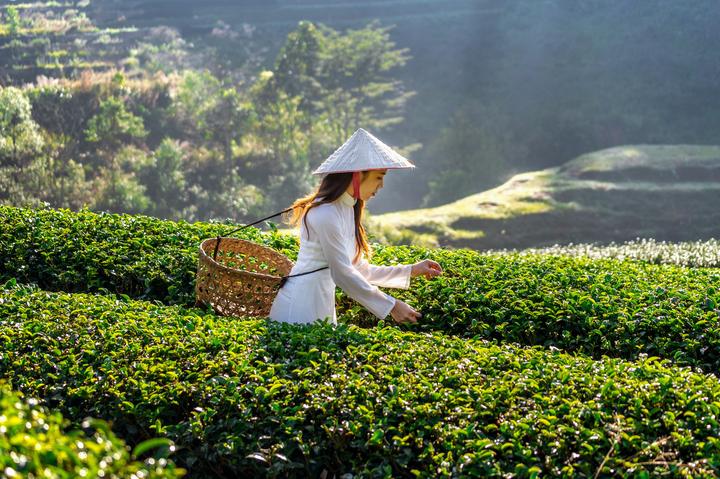 Từ