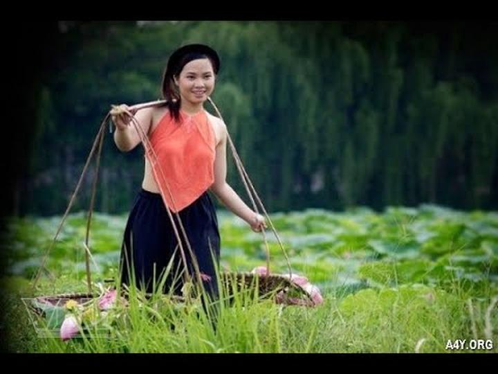 Xu hướng Ông Donald Trump cùng gia: Hotspot Matrix tiết lộ bí quyết video viral