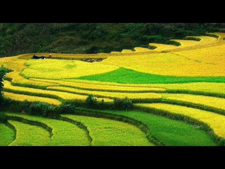 Tiêu đề: [Hotspot Matrix]: Sự Nghiệp Chướng - Pháo's Honest Take on Love and Life