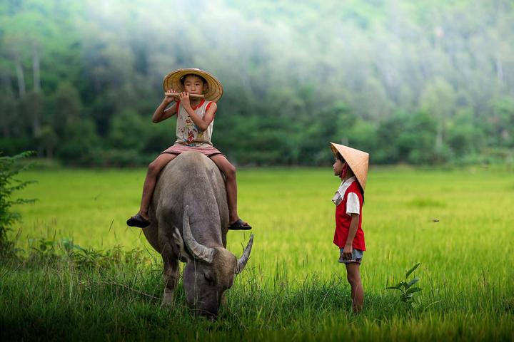 Bé gái 14 tuổi đau bụng, nôn - Cảm hứng video marketing từ Hotspot Matrix