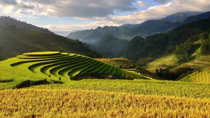Tận dụng