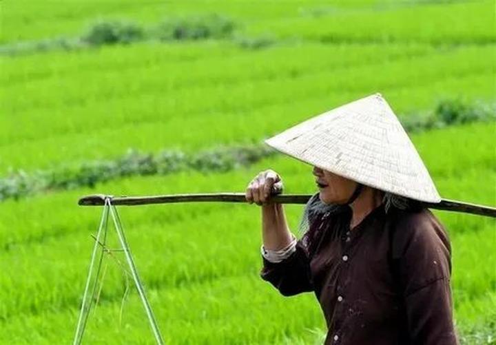 Hotspot Matrix: Biến 1 người vừa mua Labubu giá thành cơ hội marketing đột phá