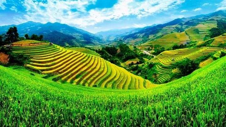Từ Quán cơm nhà ở Hà Nội: 5 năm đến chiến lược content: Hotspot Matrix chia sẻ
