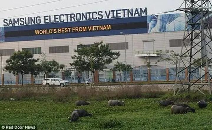 Chuyên gia Hotspot Matrix phân tích: Thống đốc bang Nam Úc: 